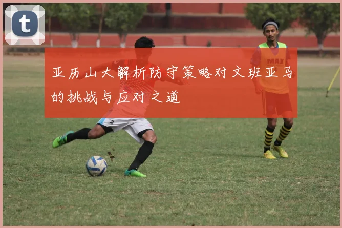 亚历山大解析防守策略对文班亚马的挑战与应对之道
